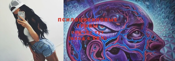 дживик Алексин