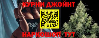 сатива Краснодар
