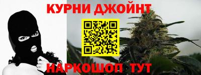 сатива Краснодар