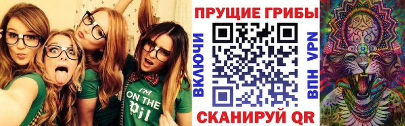 цена   Мичуринск  Псилоцибиновые грибы Cubensis 