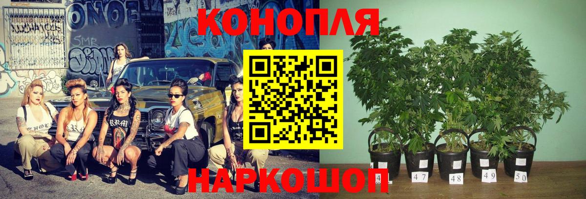 Гашиш  МДМА  Мичуринск  Мефедрон  NBOMe  МЕТ  Марихуана  Cocaine  Лсд 25  МЕФ   ГАШ  Вход с VPN 